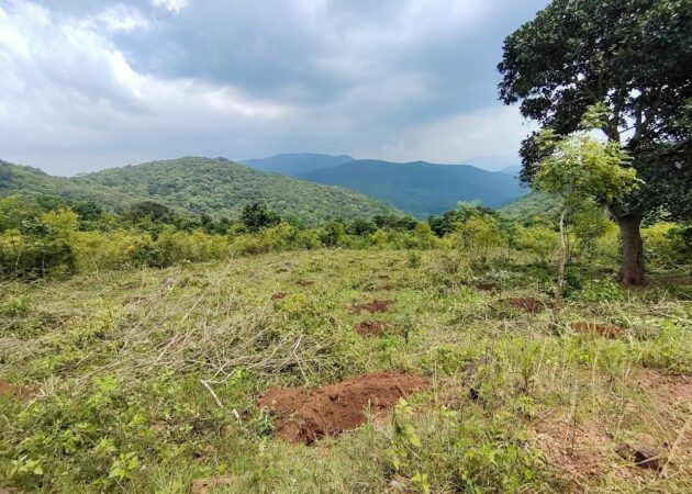 VJNNS–VPA-VWSC-RECHARGE AREA BEFORE PLANTATION-ROLUGUNTA-21-09-2024