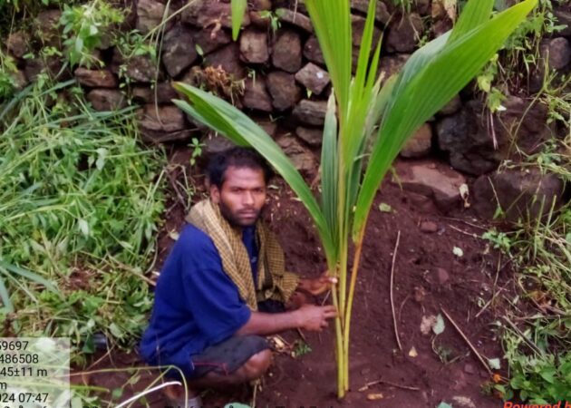 VJNNS-APF-VPA-Avenue Plantation in Gondhipakalu Panchayat-26-09-2024