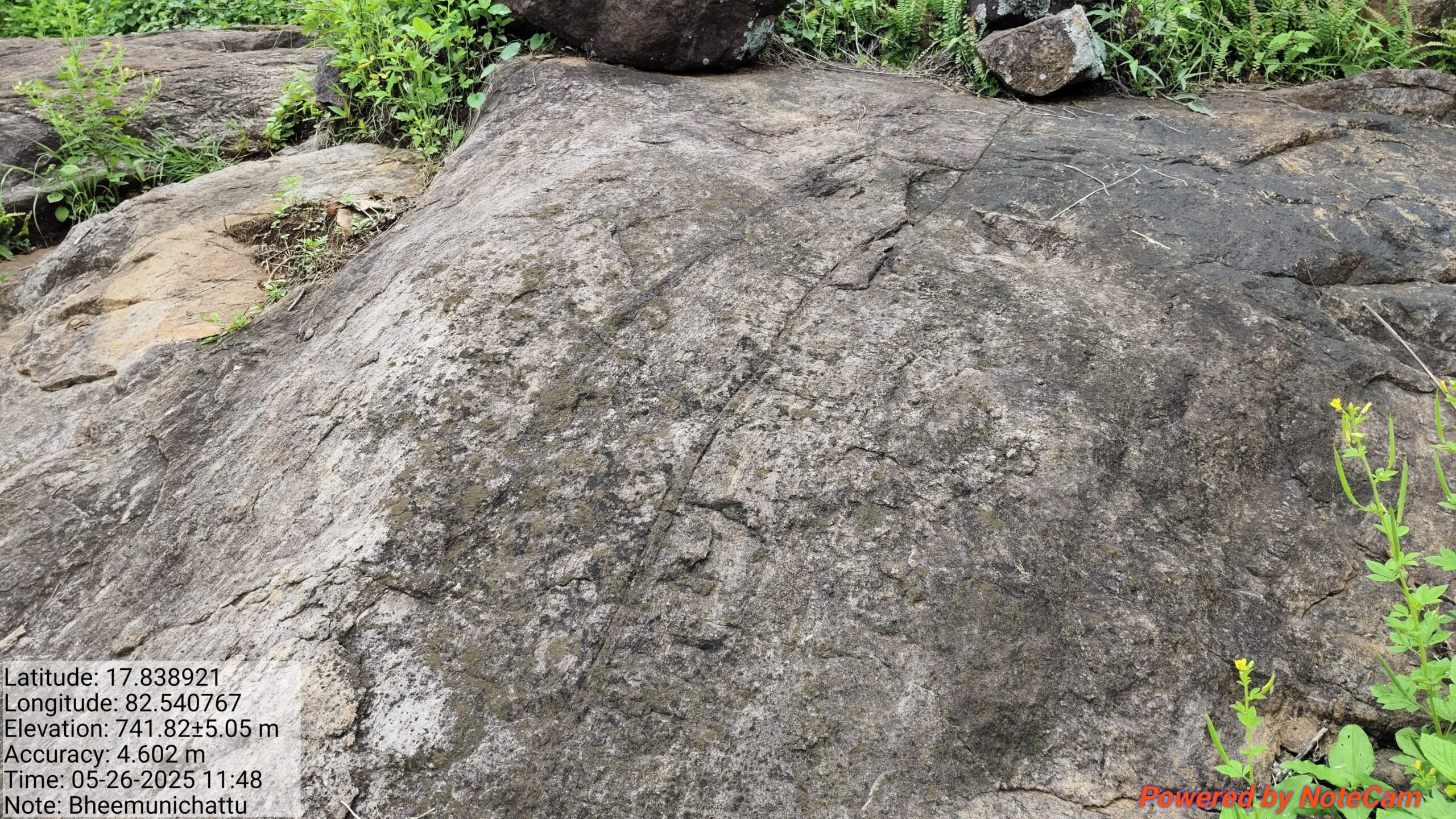 VJNNS-APF-Hydrogeolpgical survey at Bheemunichettupalem village on 25-5-2025