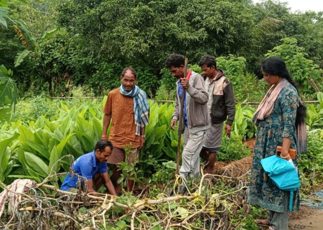 VJNNS-APF- Launches Mega Plantation Drive to Restore Springs with Visakha Port Authority Support at Parikalu on 23-06-2025