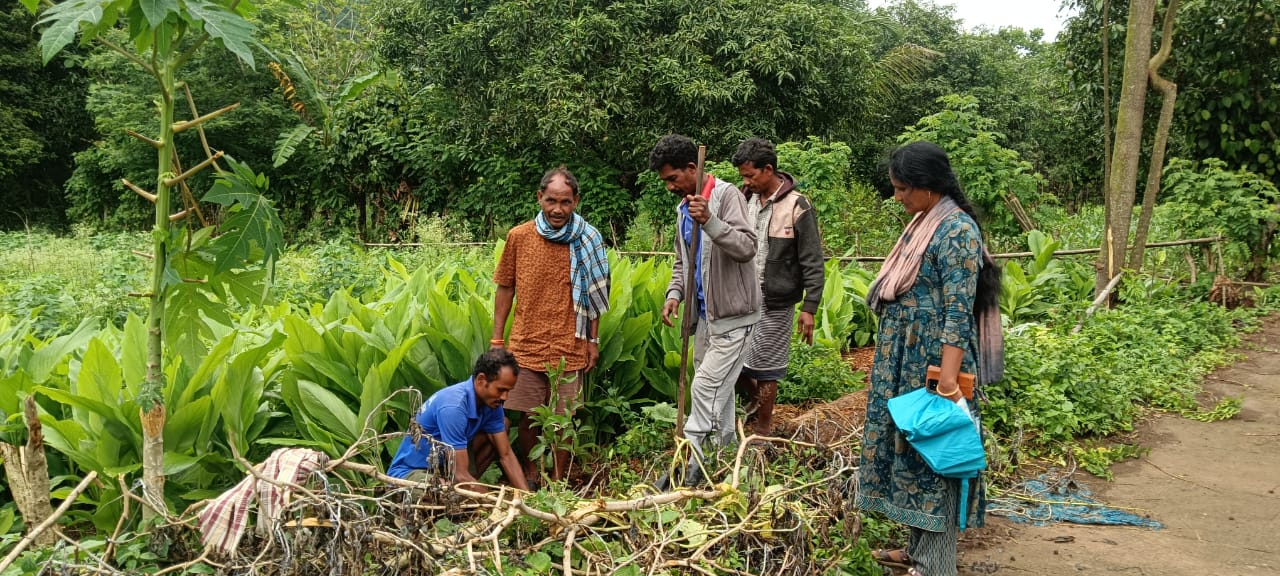 VJNNS-APF- Launches Mega Plantation Drive to Restore Springs with Visakha Port Authority Support at Parikalu on 23-06-2025