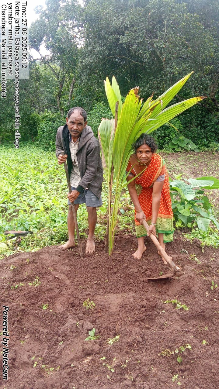 VJNNS-APF- Launches Mega Plantation Drive to Restore Springs with Visakha Port Authority Support at parikalu on 27-06-2025