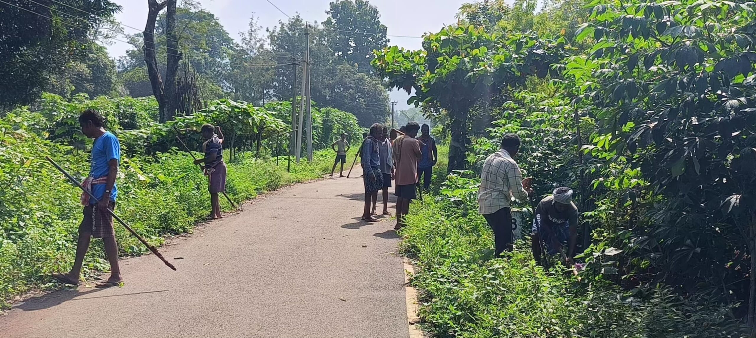 VJNNS-APF- Launches Mega Plantation Drive to Restore Springs with Visakha Port Authority Support on 23-06-2025